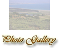 La Photo Gallery dell'Azienda Agrituristica Parco degli Ulivi, a Gizzeria Provincia di Catanzaro - Italia